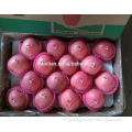 /msite/products/detail/productid/54855548/id/542998.html